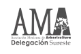 Aliado AMA