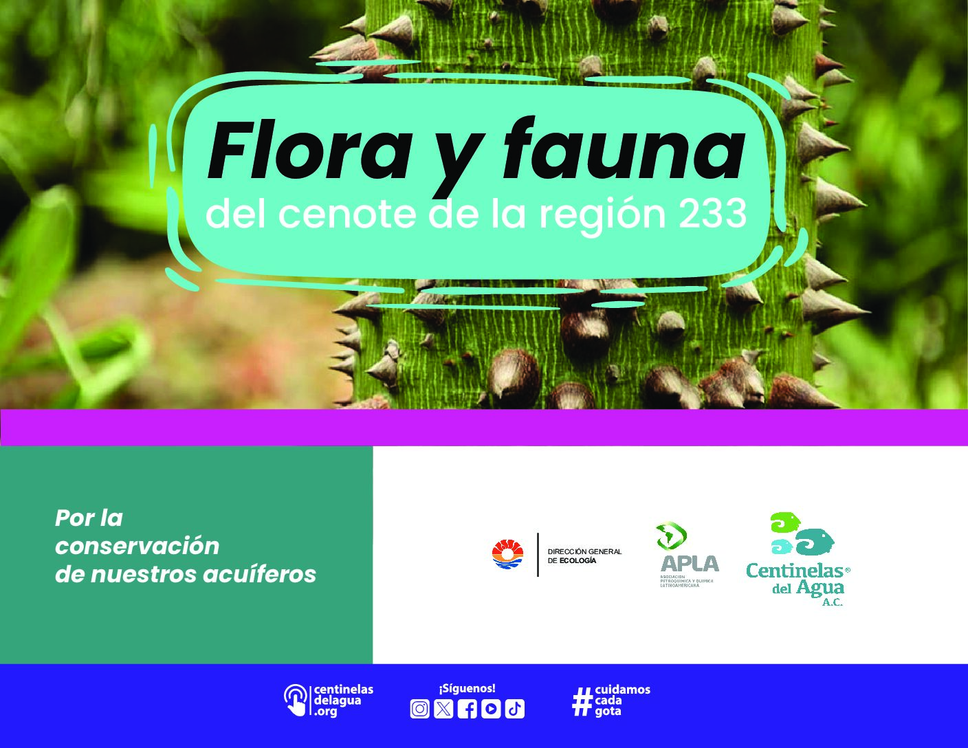 Flora – Cenotes Región 233 Cancún